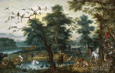 Paysage paradisiaque avec la chute